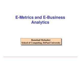 E-Metrics and E-Business Analytics