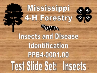 Mississippi 4-H Forestry