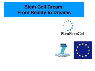 Stem Cell Dream:  From Reality to Dreams