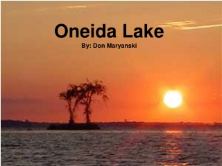 Oneida Lake By: Don Maryanski