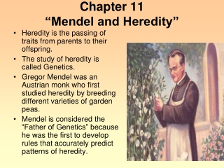 Chapter 11 “Mendel and Heredity”