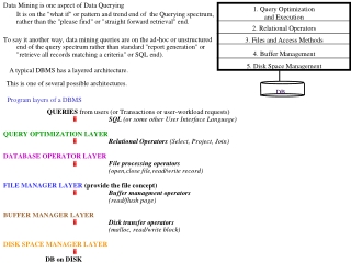 Program layers of a DBMS