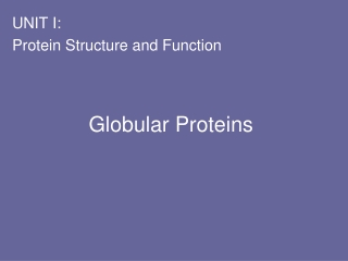 Globular Proteins