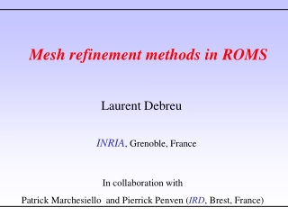 Mesh refinement methods in ROMS