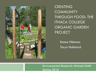 Creating community through food: the  ithaca  college organic garden project