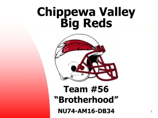 Chippewa Valley  Big Reds