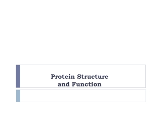 Protein Structure and Function