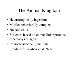 The Animal Kingdom