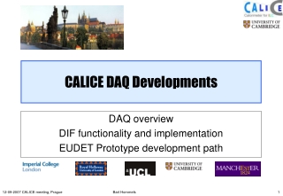 CALICE DAQ Developments