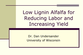 Low Lignin Alfalfa for Reducing Labor and Increasing Yield