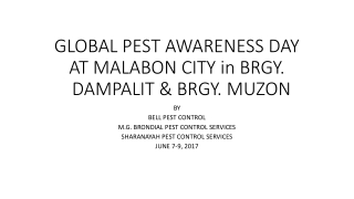 GLOBAL PEST AWARENESS DAY AT MALABON CITY in BRGY.   DAMPALIT &amp; BRGY. MUZON