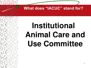 What does “IACUC” stand for?
