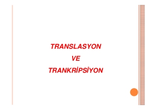 TRANSLASYON   VE         TRANKR İ PS İYON