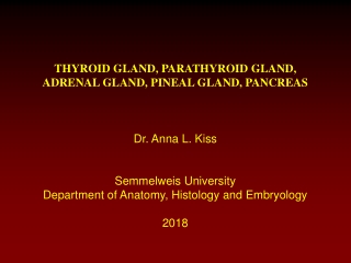 THYROID GLAND, PARATHYROID GLAND, ADRENAL GLAND, PINEAL GLAND, PANCREAS Dr. Anna L. Kiss