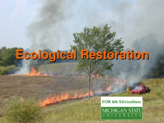 Ecological Restoration