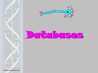 Databases