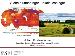 Globala utmaningar - lokala lösningar