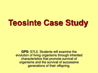 Teosinte Case Study