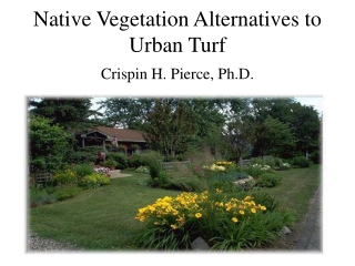 Native Vegetation Alternatives to Urban Turf