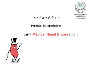 بسم الله الرحمن الرحيم  Practical histopathology Lab 7  ( Medical Renal Biopsy )