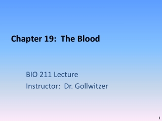 Chapter 19:  The Blood