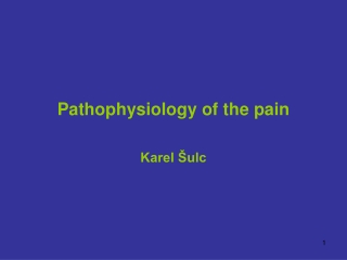 Pathophysiology of the pain