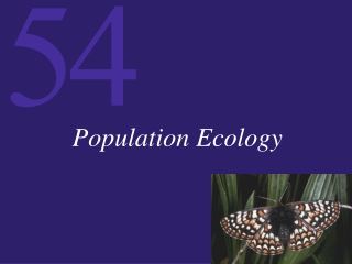 Population Ecology