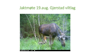 Jaktmøte 19.aug. Gjerstad  viltlag