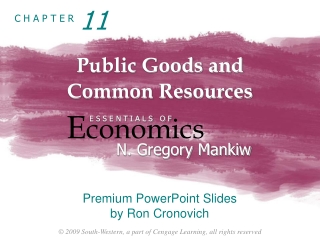 Public Goods and  Common Resources