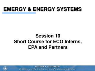 EMERGY &amp; ENERGY SYSTEMS