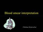Blood smear interpretation