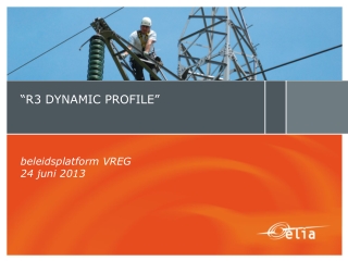 “R3 DYNAMIC PROFILE” beleidsplatform VREG 24 juni 2013