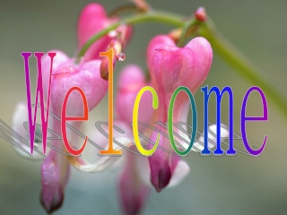 Welcome