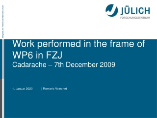 Work performed in the frame of WP6 in FZJ