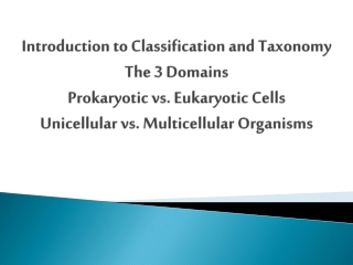 The 8 major  taxa  are, from largest to smallest…