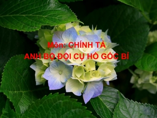 Môn: CHÍNH TẢ ANH BỘ ĐỘI CỤ HỒ GỐC BỈ