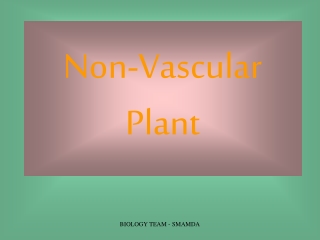 Non-Vascular Plant