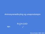 Aminosyrenedbryting og ureaproduksjon