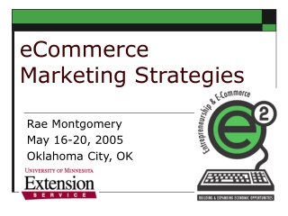 eCommerce  Marketing Strategies