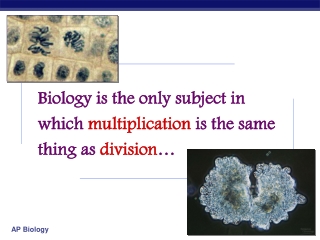 Biology is the only subject in which  multiplication  is the same thing as  division …