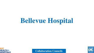 Bellevue Hospital