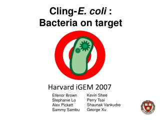 Cling- E. coli  : Bacteria on target