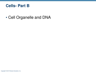 Cells- Part B