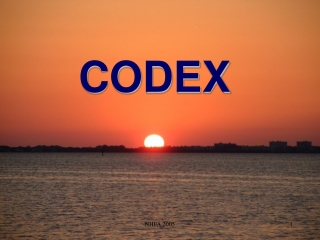 CODEX