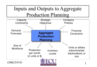 Inputs and Outputs to Aggregate Production Planning