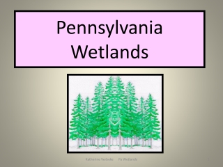 Pennsylvania Wetlands