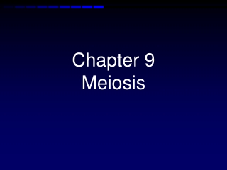 Chapter 9 Meiosis