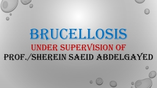 Brucellosis under supervision of  Prof./ Sherein Saeid Abdelgayed