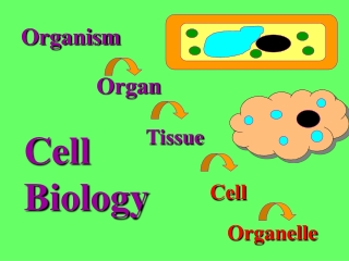 Organism