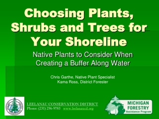 Choosing  Plants, Shrubs  and Trees for Your Shoreline
